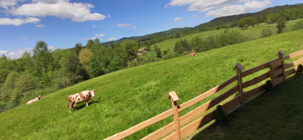 Goralskie Domki Na Podhalu - Z Jacuzzi Maniowy Exterior foto
