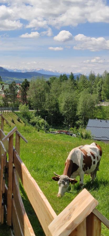 Goralskie Domki Na Podhalu - Z Jacuzzi Maniowy Exterior foto